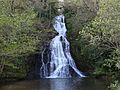 Saut de la Truite.