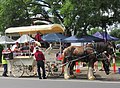 Laidley Heritage Festival 2022 horse cart before Neumann Haus.jpg