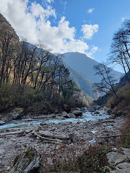 File:Langtang Khola Rasuwa Jilla.jpg