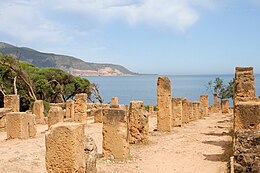 Le Cardo maximus de la ville romaine (Tipaza).jpg