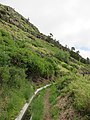 Levada do Caniçal, Parque Natural da Madeira - 2018-04-08 - IMG 3380.jpg
