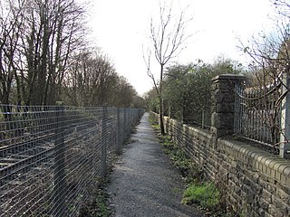 <span class="mw-page-title-main">Llangeinor railway station</span> Disused railway station in Llangeinor, Bridgend County Borough