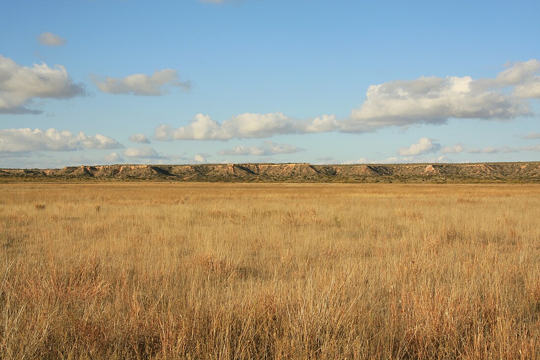 Shortgrass prairie