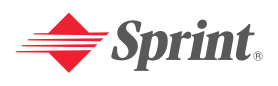 File:Logo of the Sprint Corporation (1987-2005).svg