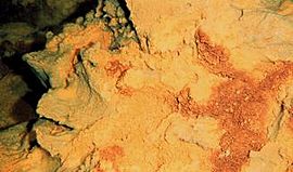 バクテリアの作用で黄色く着色された岩が海底に転がっている。部分的に赤や緑に着色されている。