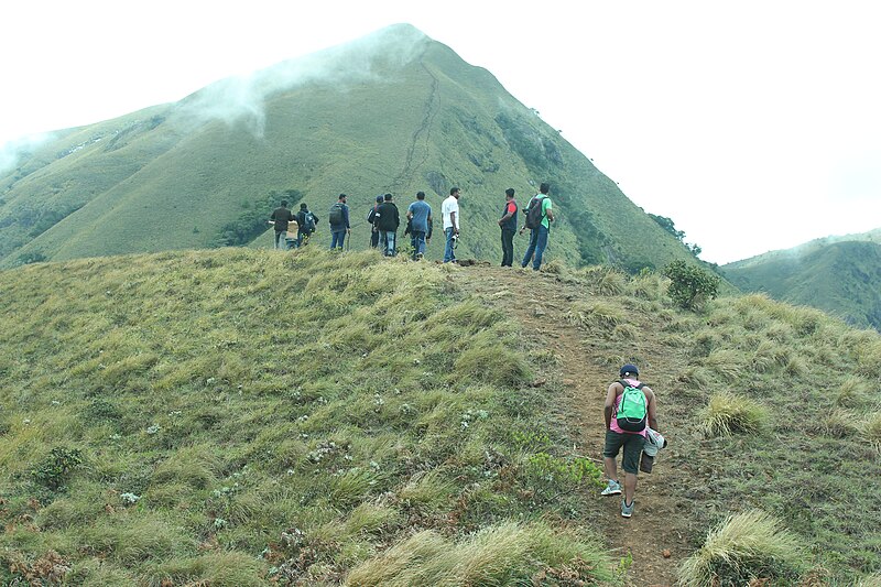 File:MEESAPULIMALA , IDUKKI.jpg