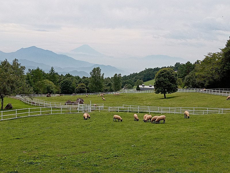 File:Makibakoen mtfuji.jpg