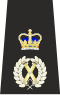 Am întâlnit comisarul adjunct Epaulette.svg