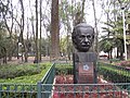 Bust of Albert Einstein, Parque México