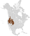 Microtus montanus map.svg