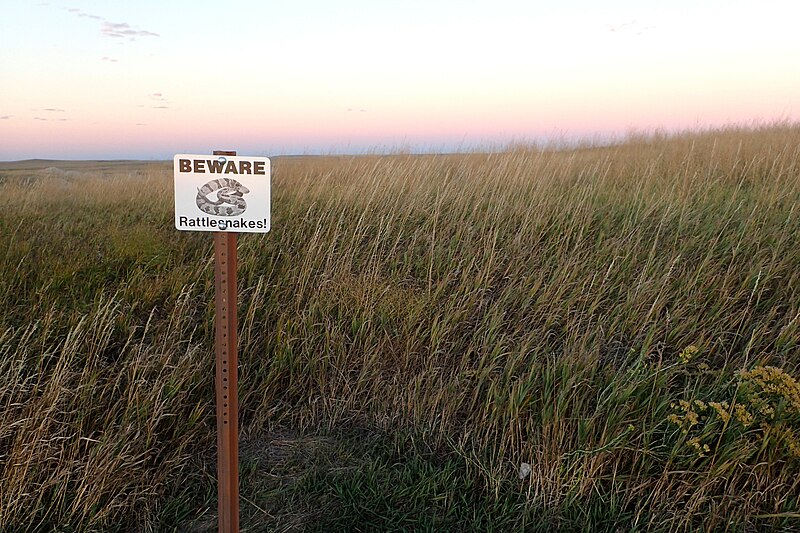 File:Mixed-grass prairie in Badlands NP kz04.jpg