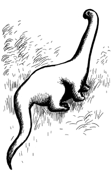 Drawing of Mokele-mbembe reflecting its supposed resemblance with the extinct sauropods Mokele-mbembe ill artlibre jnl.png