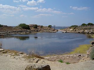 <span class="mw-page-title-main">Siege of Motya</span> Siege during Second Sicilian War