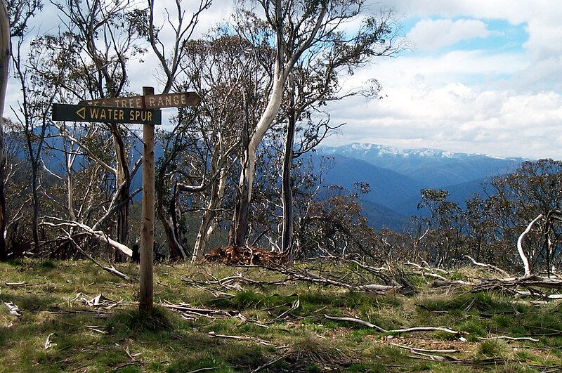 File:Mt Sarah, Victoria, Australia.jpg