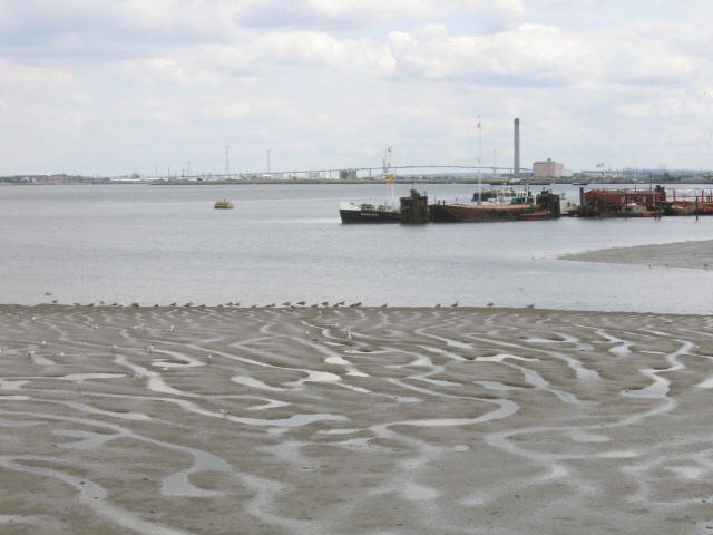 Mudflats on the Thames, with the Queen Elizabeth II Bridge in the far background