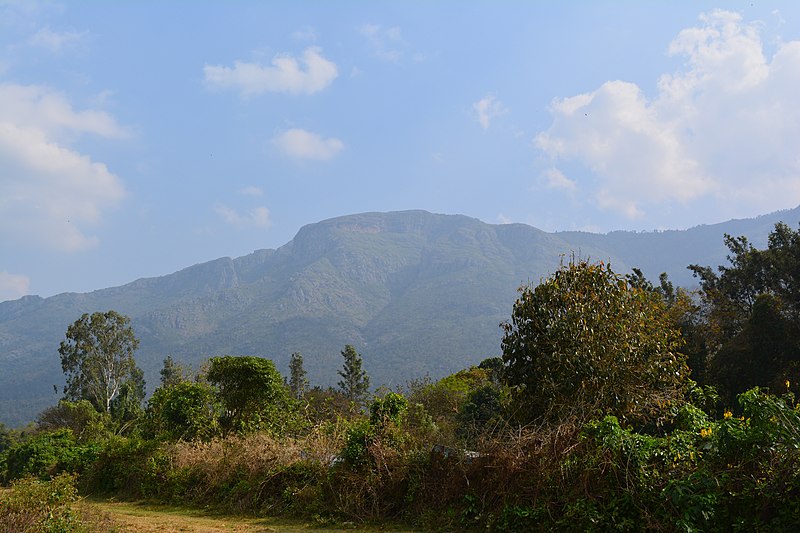 File:Mudumalai-crease.jpg