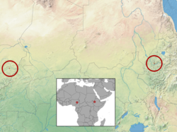 Myotis morrisi distribution (colored).png