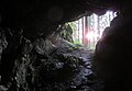 Čeština: Území národní přírodní památky Brestovská jaskyňa nedaleko Zuberce, Západní Tatry - Roháče, okres Tvrdošín - Slovensko English: National natural monument Brestovská jaskyňa, near Zuberec, Tvrdošín District - Slovakia