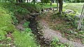 Neepaulakating Creek poblíž headwaters.jpg