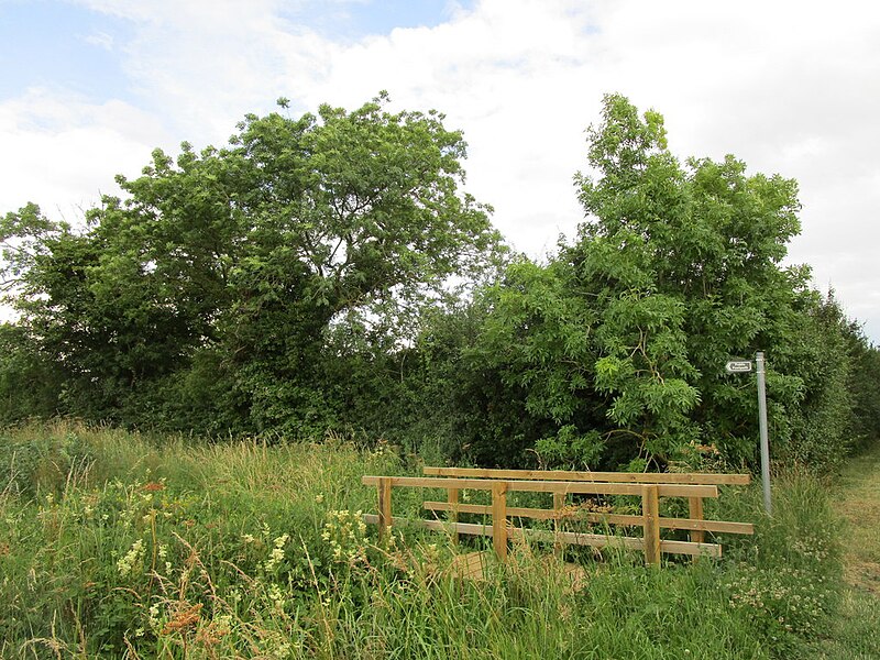 File:New footbridge - geograph.org.uk - 6208223.jpg