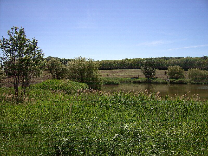 File:Novoselyts'kyi district, Chernivets'ka oblast, Ukraine - panoramio (27).jpg