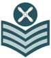 OR7a RAF yfirtæknimaður.svg