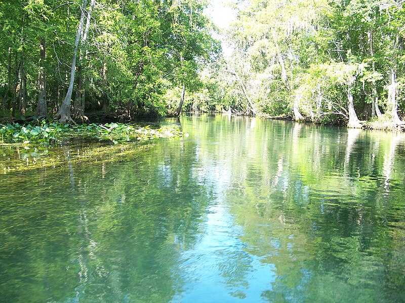 File:Ocala Silver River01.jpg