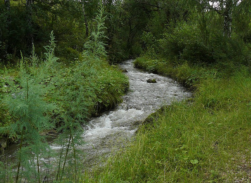 File:Oroktoy river 1.jpg