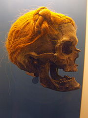Crâne d'Osterby, Allemagne.