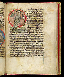 250px-Owl_with_three_smaller_birds%2C_in_manuscript_page.jpg