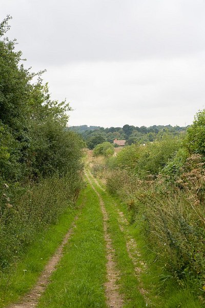 File:Ox Drove approaching South Wonston - geograph.org.uk - 934206.jpg