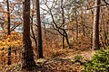 * Nomination Forest hiking trail on "Niedere Gloriette", Pörtschach, Carinthia, Austria --Johann Jaritz 02:58, 9 November 2017 (UTC) * Promotion Beautiful colors, good quality --Սարո Հովհաննիսյան 03:12, 9 November 2017 (UTC)