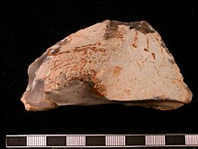 Palaeolithic side scraper (dorsal), c. 500,000 BCE, from Paul Palaeolithic side scraper (dorsal) (FindID 148384).jpg