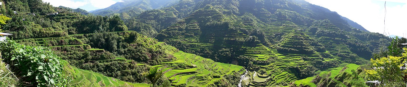 Panaramic View Banaue Rice Terraces.