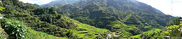 Panoramic view of the Banaue Rice Terraces.