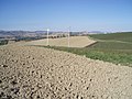 Panorama marchigiano da Castelleone di Suasa 5