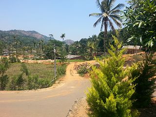 Thankamany village in Kerala, India