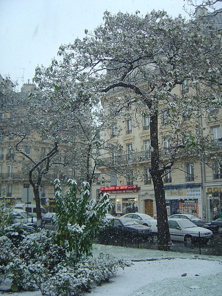 450px-Paris_2005-11-26_snow_dsc06413.jpg (450×600)