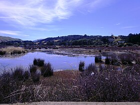 Pauatahanui Wildlife Reserve 2.JPG