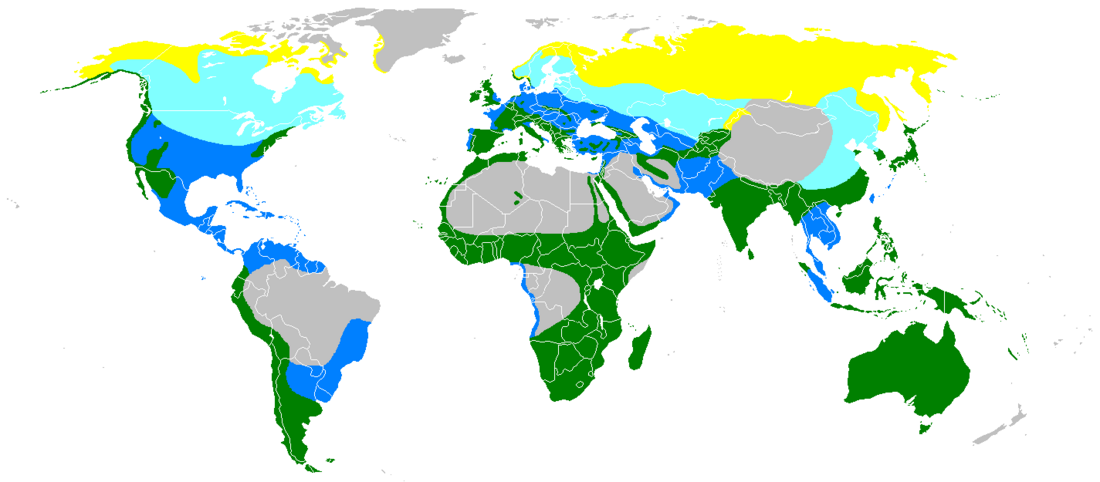 Répartition cosmopolite