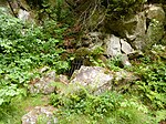 Pergamite pit on the Hennenkobel.jpg