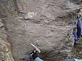 Diamictita de la Formació Pocatello, Idaho, EUA
