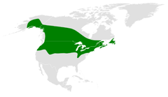 Área de distribuição do Poecile atricapillus