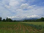 Pöllau Valley