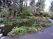 Finnerty Gardens is an extensive series of sculpted gardens maintained on campus. Pond (6905670582).jpg