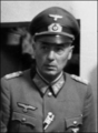 Командувач 7-ї армії генерал-полковник Фрідріх Долльман