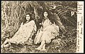 Postcard. In Maoriland - Under the ferns. Post card - carte postale (1904) (21313707558).jpg