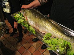 Präsentation eines großen Zanders (vor Zubereitung) in einem Restaurant in Quarré-les-Tombes, Frankreich