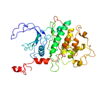 Protein CDK9 PDB 1PF6.png