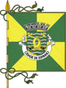 Bandeira de Espinho